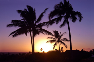 Hawaii Sunset